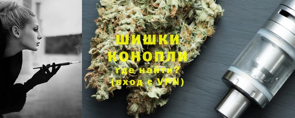 спайс Няндома