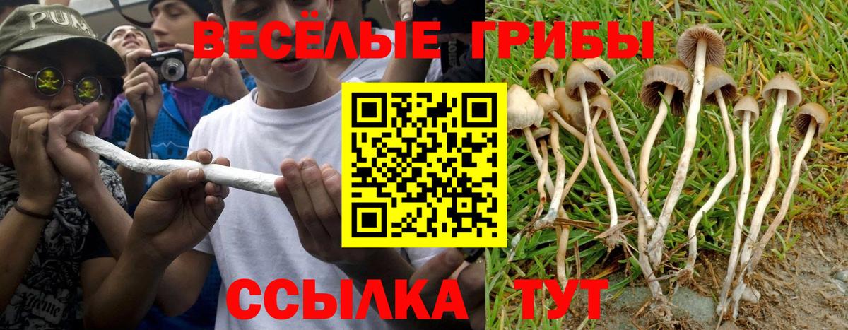 Белореченск  Псилоцибиновые грибы Psilocybine cubensis  Псилоцибиновые грибы Psilocybine cubensis  Вход с VPN 