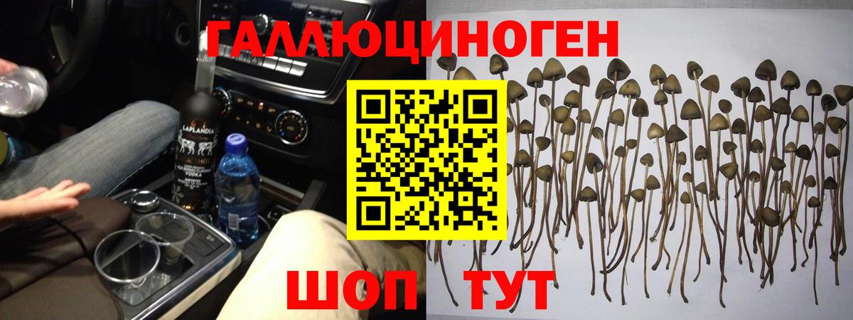 МДМА Белореченск
