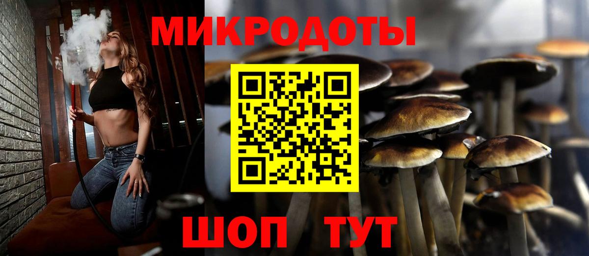 Псилоцибиновые грибы Psilocybine cubensis  Белореченск 